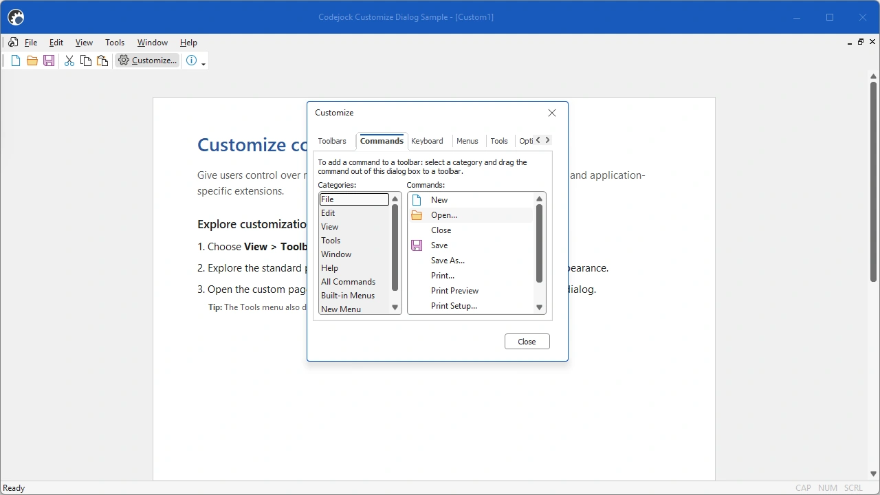 Customize Dialog