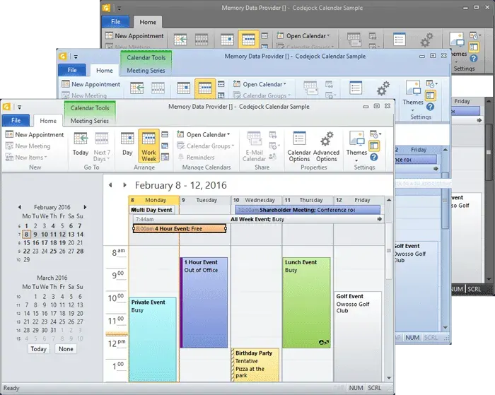Office v14.0 Theme Support