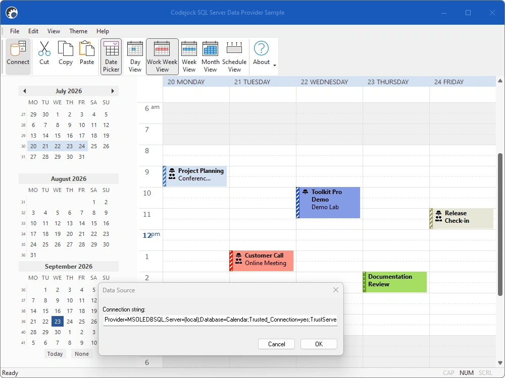 Calendar appointments loaded from the SQL Server data provider