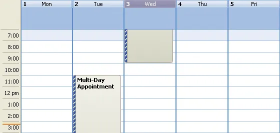 Multi-Day Appointment showcase