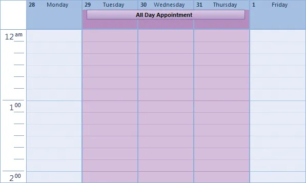 All Day Appointment