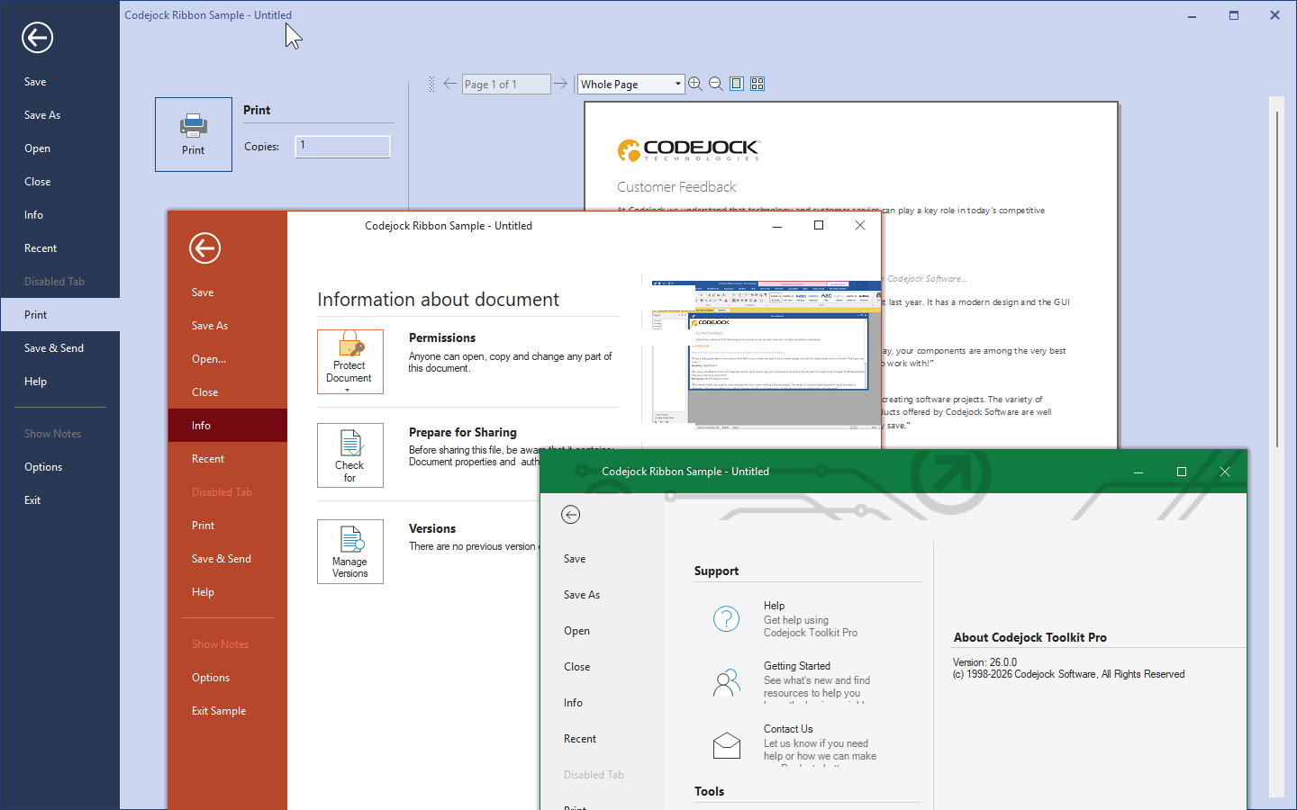 Backstage view and application menu interface