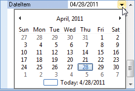 Date Data Type